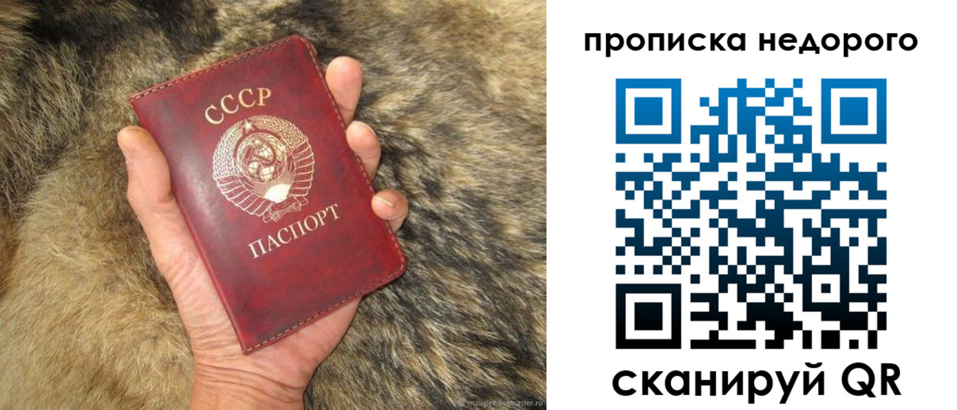 прописка для школы в Орске